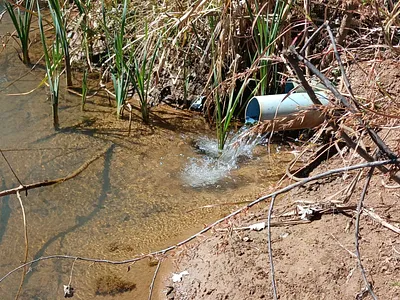 Farm For Sale in Modimolle - 2S68.webp