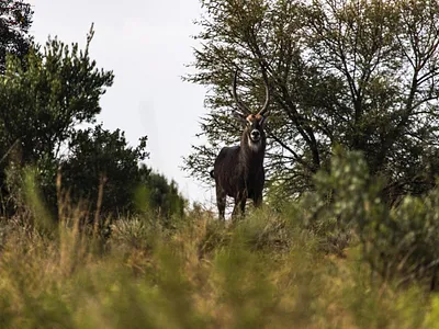 Vacant Land For Sale in Pretoria - 9TZL.webp