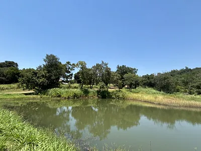 Farm For Sale in Tzaneen - HrKx.webp