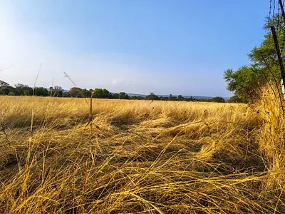 Vacant Land For Sale in Modimolle - uQob.webp