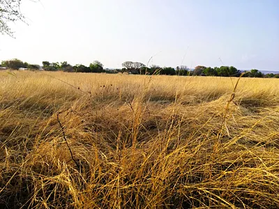 Vacant Land For Sale in Modimolle - l1uA.webp