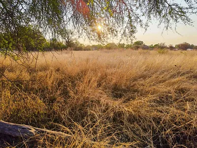 Vacant Land For Sale in Modimolle - 9INR.webp