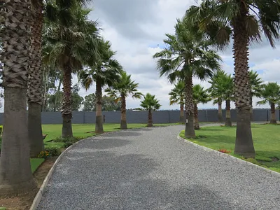 7 Bedroom House For Sale in Meyerton - ZJsb.webp