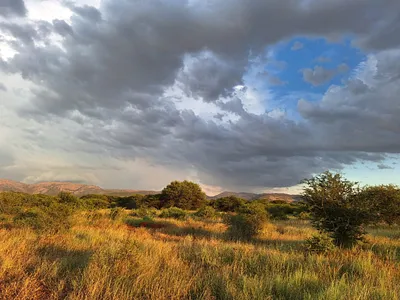 Farm For Sale in Mokopane - 1epS.webp