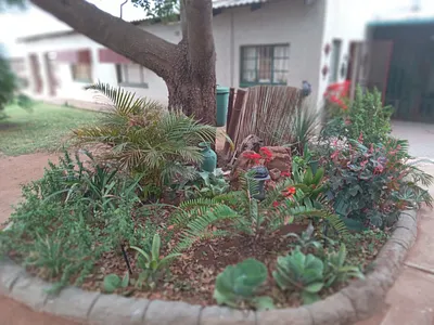 Farm For Sale in Groblersdal - n4jv.webp