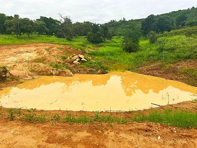 Farm For Sale in Tzaneen - rk99.webp