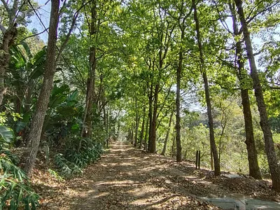 Vacant Land For Sale in Hillcrest - wQXz.webp