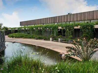 Commercial Property To Rent in Ballito - img