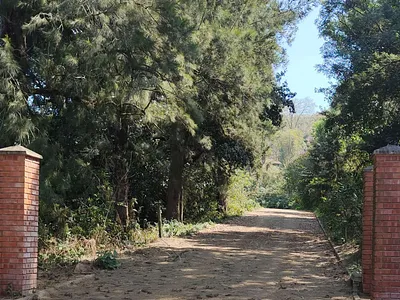 Vacant Land For Sale in Hillcrest - o0yb.webp