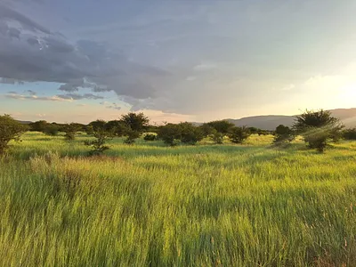 Farm For Sale in Mokopane - vo9s.webp