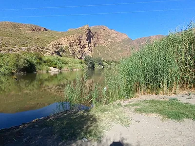 Farm For Sale in Calitzdorp - 7JS1.webp