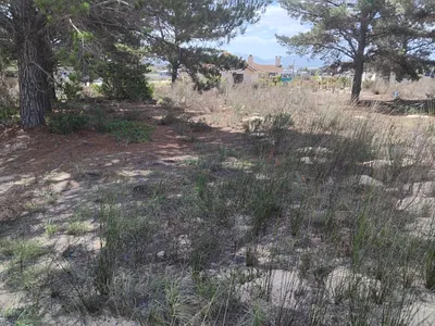 House For Sale in Albertinia - img