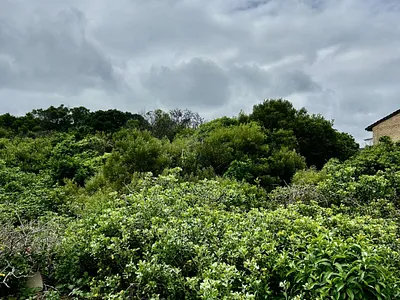 Vacant Land For Sale in Port Elizabeth - img