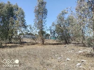 Vacant Land For Sale in Malmesbury - yCB0.webp