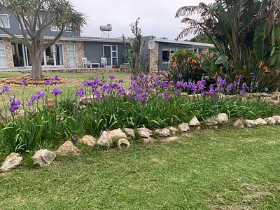 Farm For Sale in Stilbaai - 4HSf.webp