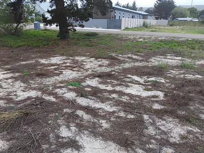 Vacant Land For Sale in Albertinia - WoJJ.webp