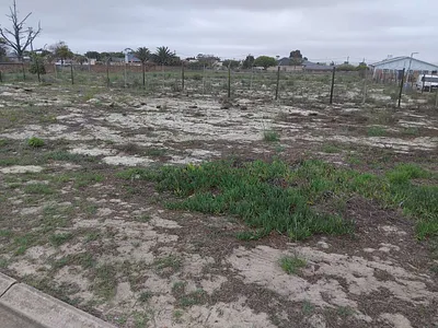 Vacant Land For Sale in Albertinia - BWWE.webp