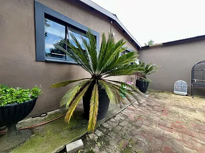 4 Bedroom House For Sale in Ermelo - WTTR.webp