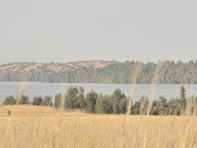 Vacant Land For Sale in Vaal Marina - DOTF.webp