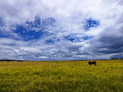 Farm For Sale in Mookgopong - vj4A.webp