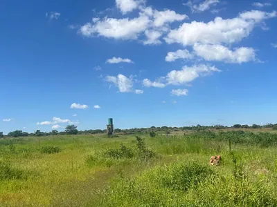 Farm For Sale in Polokwane - rUV7.webp