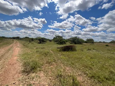 Farm For Sale in Polokwane - 1o8J.webp