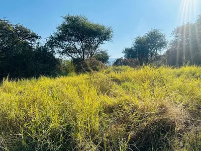 Vacant Land For Sale in Mokopane - ZIto.webp