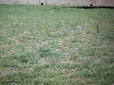Vacant Land For Sale in Polokwane - hqZt.webp