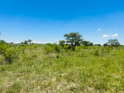 Farm For Sale in Odendaalsrus - img