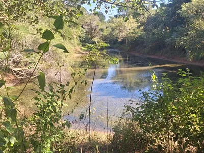 Farm For Sale in Hluhluwe - img