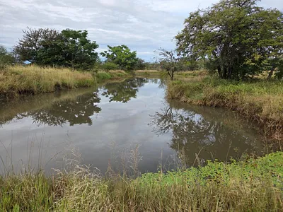 Farm For Sale in Polokwane - mfk7.webp