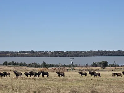 Vacant Land For Sale in Vaal Marina - rCrb.webp