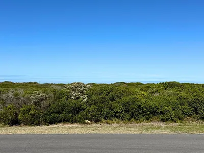 Vacant Land For Sale in Gansbaai - A0TN.webp