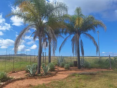 Farm For Sale in Mookgopong - uvIo.webp