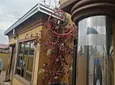 Carousel Indicator - 7pQk.webp