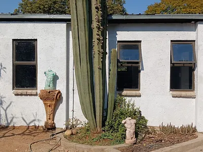 1 Bedroom Apartment To Rent in Pretoria - img