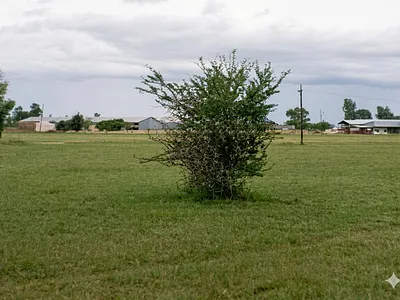 Vacant Land For Sale in Leeudoringstad - BB4X.webp