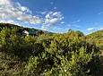 Carousel Indicator - zuH0.webp