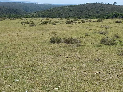 Farm For Sale in Port Elizabeth - s85t.webp
