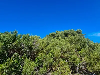 Vacant Land For Sale in Jeffreys Bay - JABa.webp