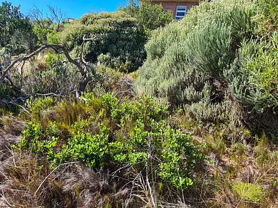 Vacant Land For Sale in Jeffreys Bay - VDle.webp