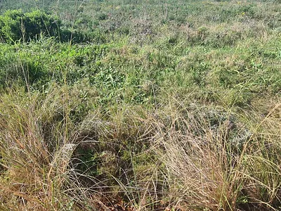 Vacant Land For Sale in Jeffreys Bay - yOyH.webp