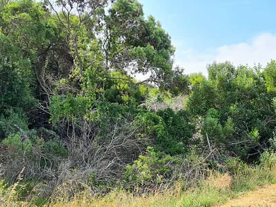 Vacant Land For Sale in Jeffreys Bay - 01Is.webp