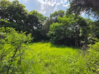 Vacant Land For Sale in Sandton - ejQ9.webp