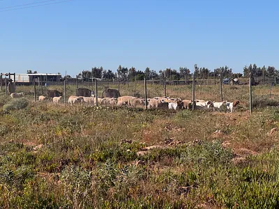 Farm For Sale in Vredenburg - IGCz.webp