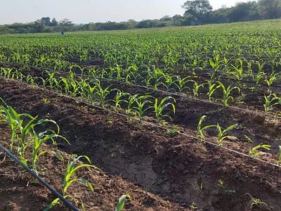 Farm For Sale in Thohoyandou - 96W4.webp