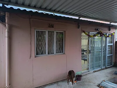 2 Bedroom House To Rent in Chatsworth - ZwuQ.webp