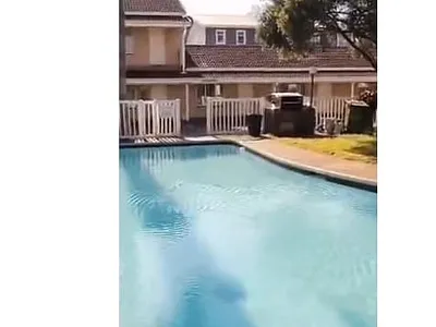 0.5 Bedroom Apartment To Rent in Durban - IJT6.webp