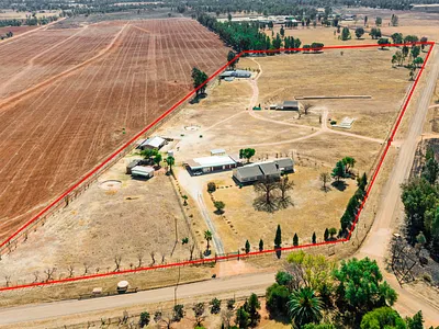 Farm For Sale in Meyerton - bquq.webp