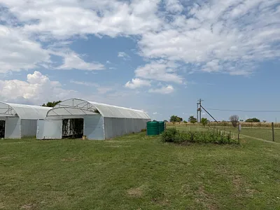 Vacant Land For Sale in Oranjeville - img